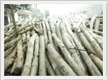 chứng nhận xuất xứ