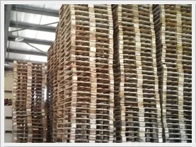 cho thuê pallet