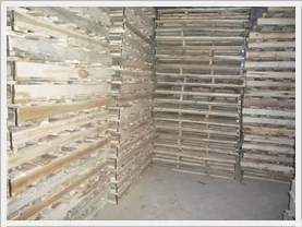 paleltgo