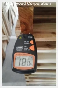 Mùa mưa và nguy cơ pallet gỗ, bao bì gỗ bị nấm mốc xâm nhập (Phần 2)