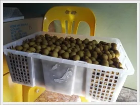 nhan thai lan
